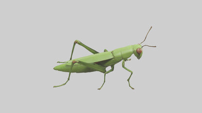 3D model Grasshopper hopping model VR / AR / low-poly