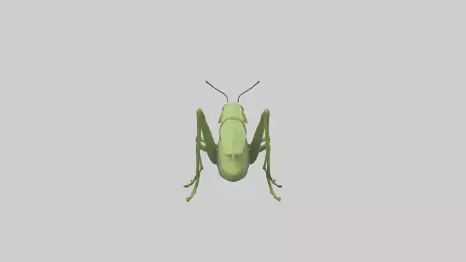 3D model Grasshopper hopping model VR / AR / low-poly