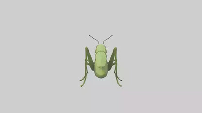 3D model Grasshopper hopping model VR / AR / low-poly