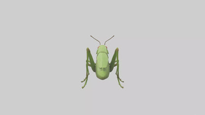 3D model Grasshopper hopping model VR / AR / low-poly