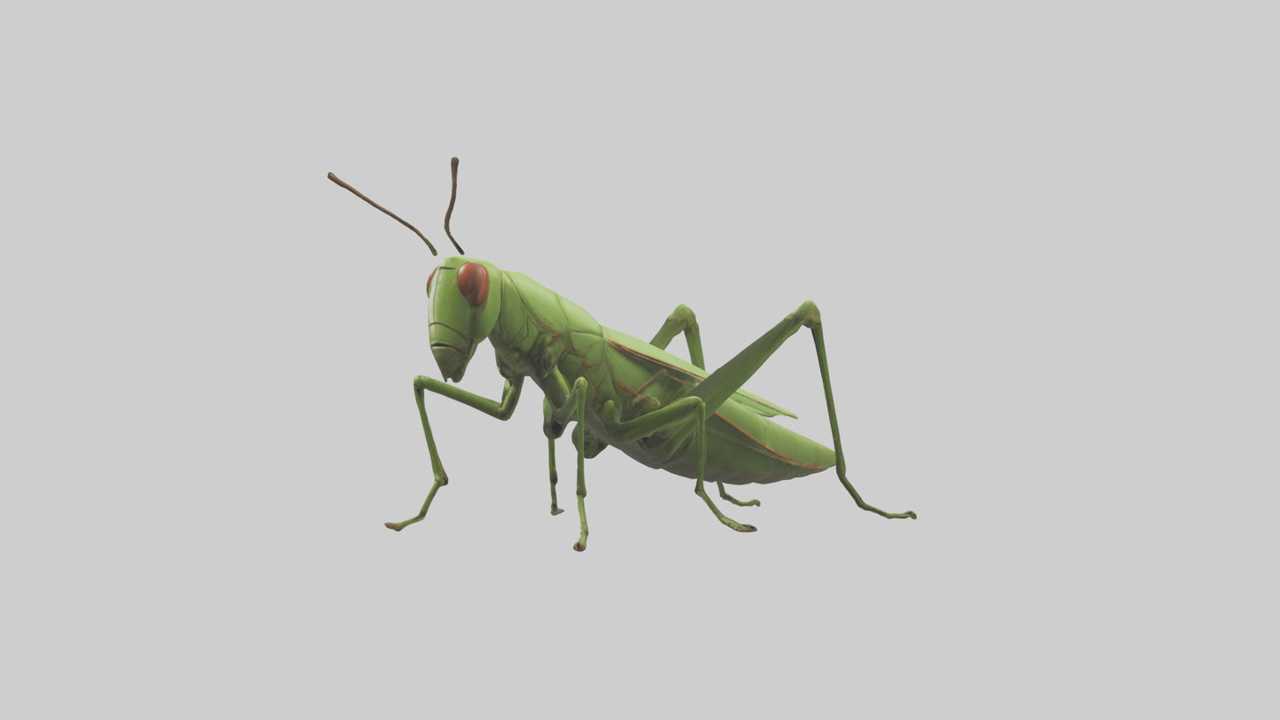 3D model Grasshopper hopping model VR / AR / low-poly