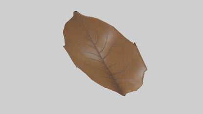 3D model Gravitational Leaf Sculpture model VR / AR / low-poly