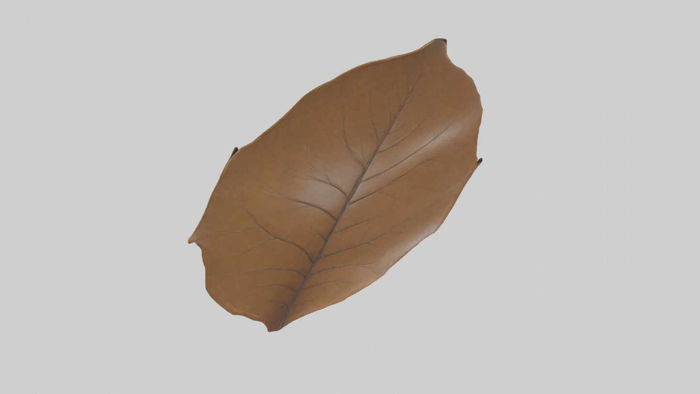 3D model Gravitational Leaf Sculpture model VR / AR / low-poly