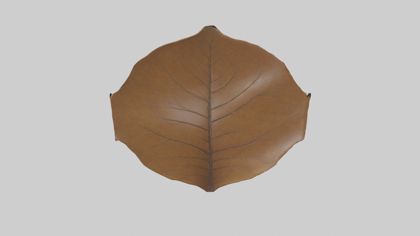 3D model Gravitational Leaf Sculpture model VR / AR / low-poly