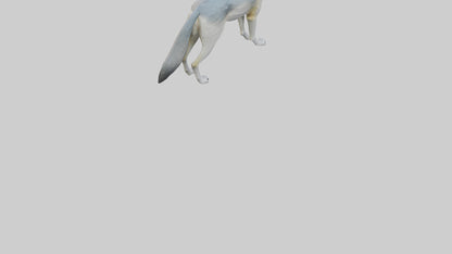 3D model Gray Wolf standing alert model VR / AR / low-poly