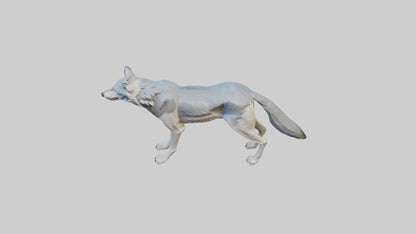3D model Gray Wolf standing alert model VR / AR / low-poly