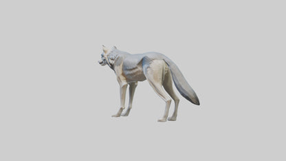 3D model Gray Wolf standing alert model VR / AR / low-poly