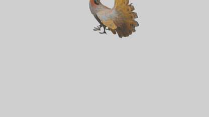 3D model Great Argus Pheasant displaying model VR / AR / low-poly