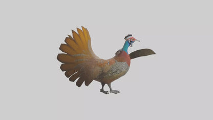 3D model Great Argus Pheasant displaying model VR / AR / low-poly