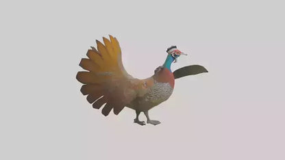 3D model Great Argus Pheasant displaying model VR / AR / low-poly