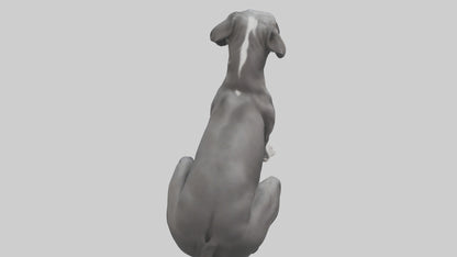 3D model Great Dane sitting model VR / AR / low-poly