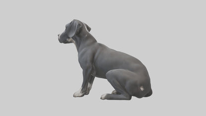 3D model Great Dane sitting model VR / AR / low-poly
