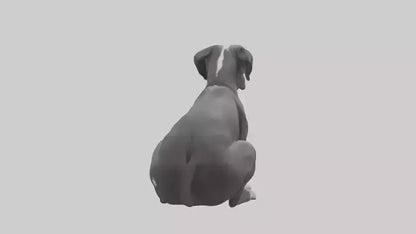 3D model Great Dane sitting model VR / AR / low-poly
