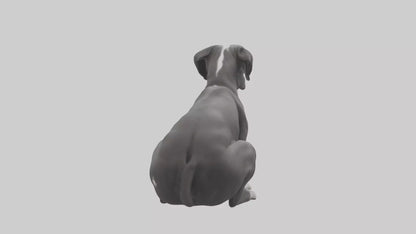 3D model Great Dane sitting model VR / AR / low-poly
