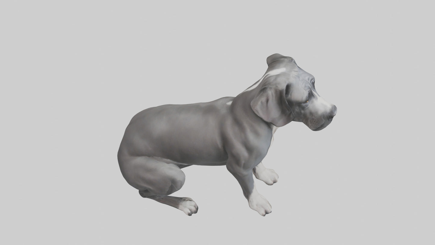 3D model Great Dane sitting model VR / AR / low-poly