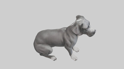 3D model Great Dane sitting model VR / AR / low-poly
