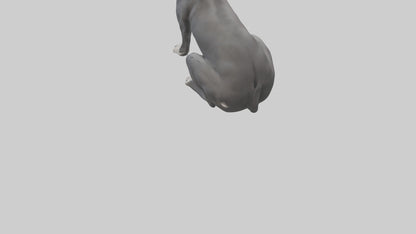 3D model Great Dane sitting model VR / AR / low-poly