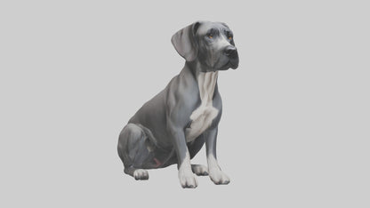 3D model Great Dane sitting model VR / AR / low-poly