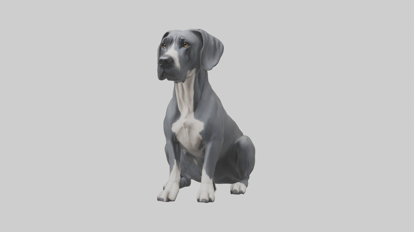 3D model Great Dane sitting model VR / AR / low-poly