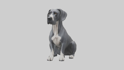 3D model Great Dane sitting model VR / AR / low-poly