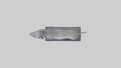 3D model Great Dane statue model VR / AR / low-poly