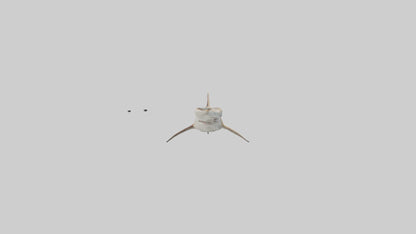 3D model Great Hammerhead Shark gliding model VR / AR / low-poly
