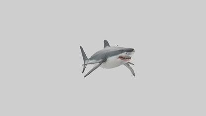 3D model Great White Shark hunting model VR / AR / low-poly