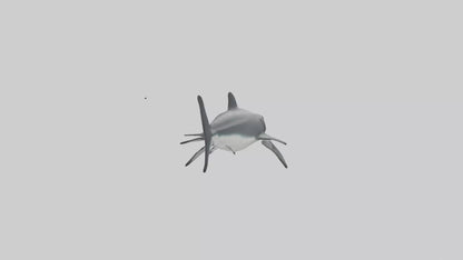 3D model Great White Shark hunting model VR / AR / low-poly