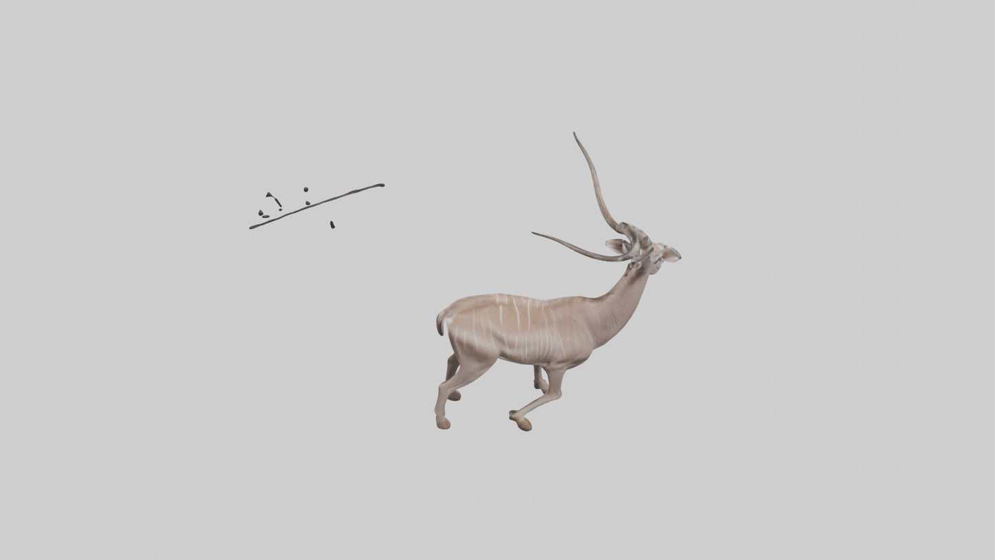 3D model Greater Kudu walking gracefully model VR / AR / low-poly