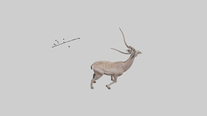 3D model Greater Kudu walking gracefully model VR / AR / low-poly