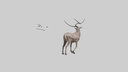 3D model Greater Kudu walking gracefully model VR / AR / low-poly