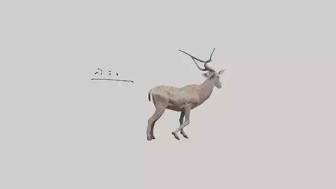3D model Greater Kudu walking gracefully model VR / AR / low-poly