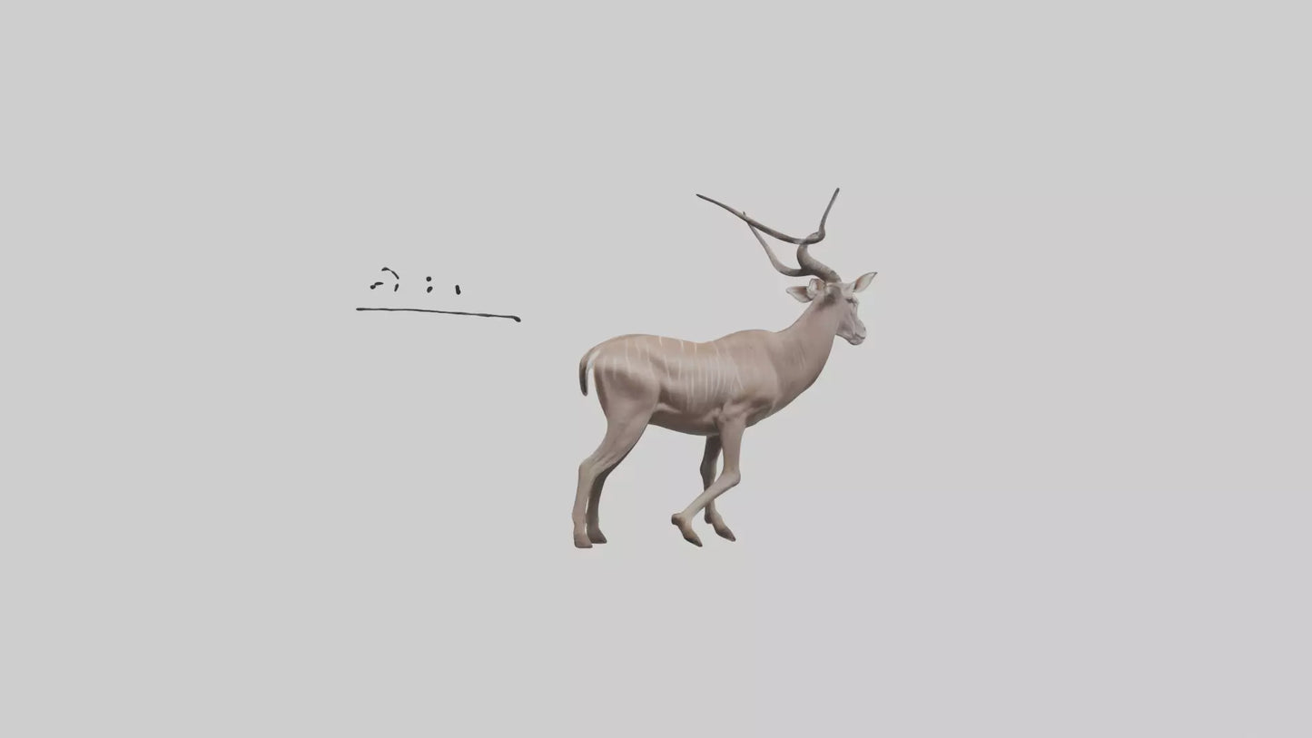 3D model Greater Kudu walking gracefully model VR / AR / low-poly