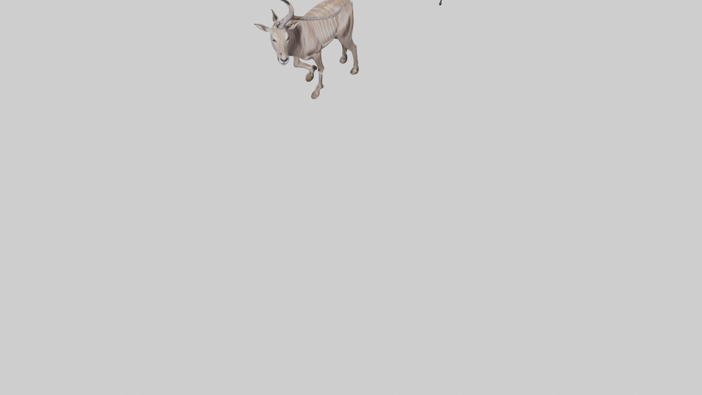 3D model Greater Kudu walking gracefully model VR / AR / low-poly