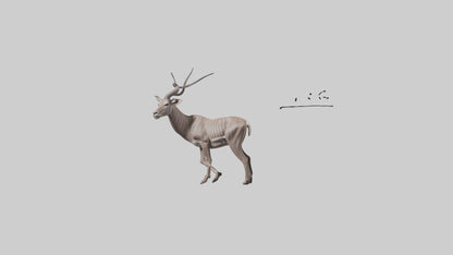 3D model Greater Kudu walking gracefully model VR / AR / low-poly