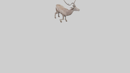 3D model Greater Kudu walking gracefully model VR / AR / low-poly