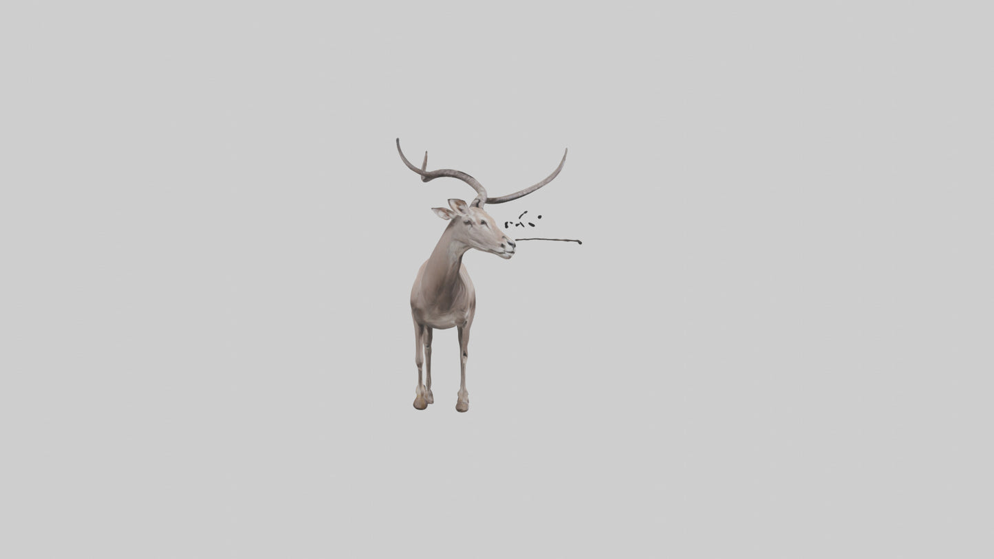 3D model Greater Kudu walking gracefully model VR / AR / low-poly