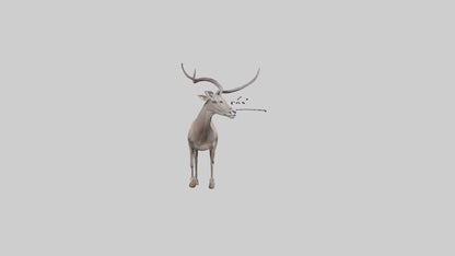 3D model Greater Kudu walking gracefully model VR / AR / low-poly