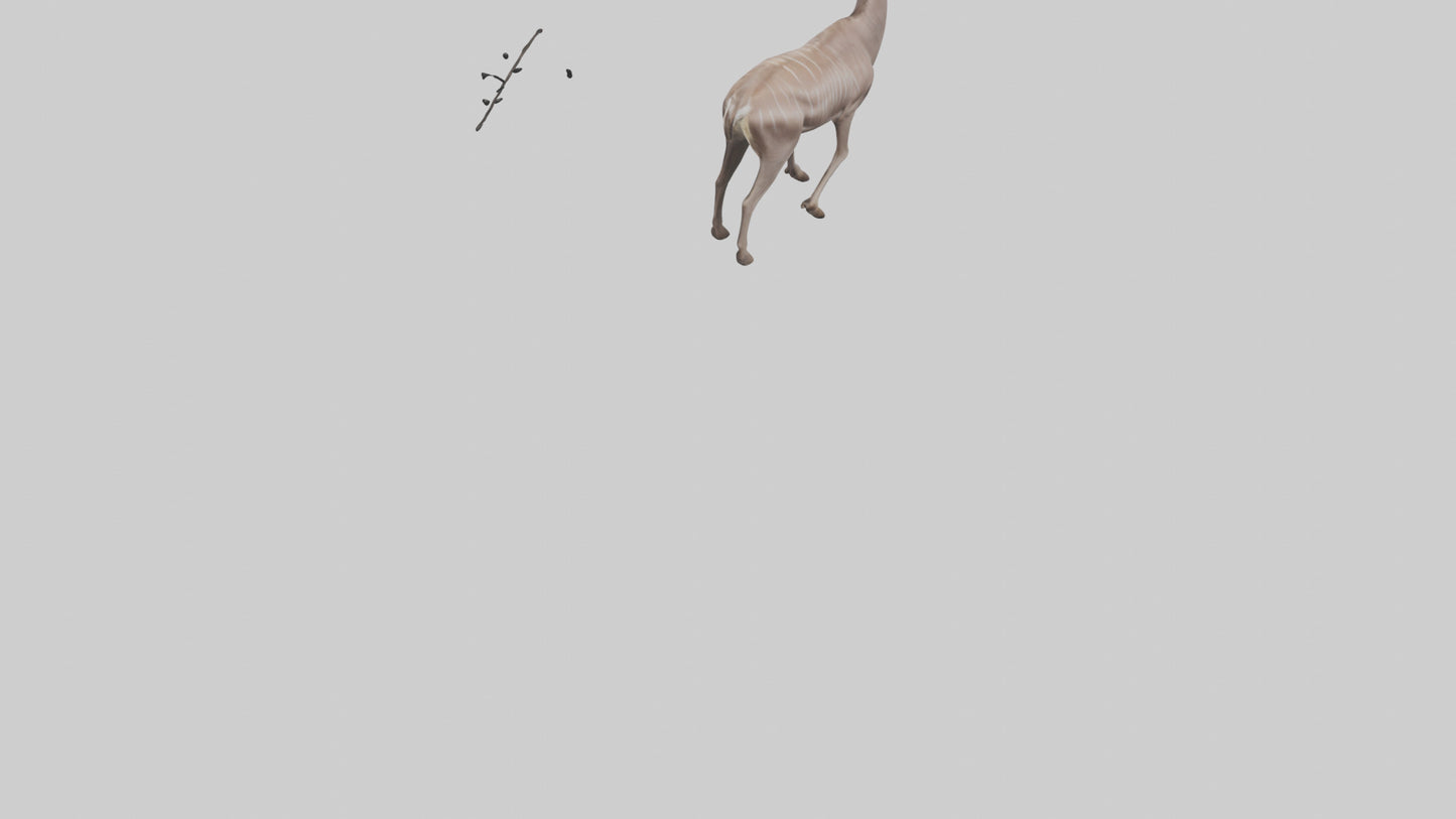 3D model Greater Kudu walking gracefully model VR / AR / low-poly