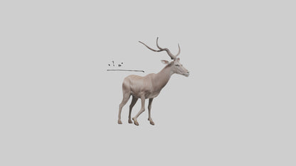 3D model Greater Kudu walking gracefully model VR / AR / low-poly