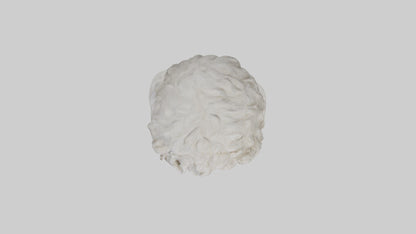 3D model Greek Philosopher bust model VR / AR / low-poly