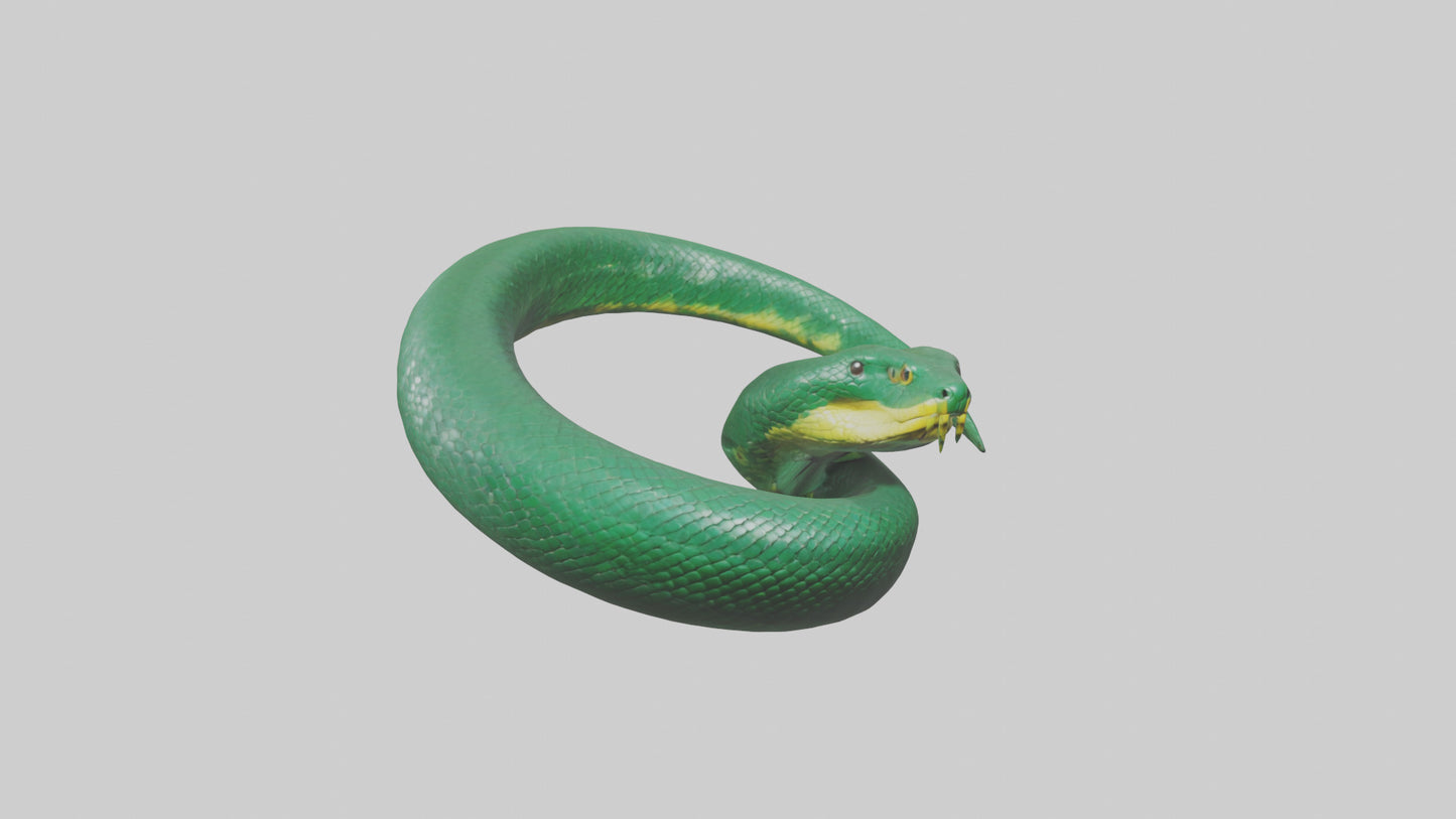 3D model Green Anaconda coiled model VR / AR / low-poly