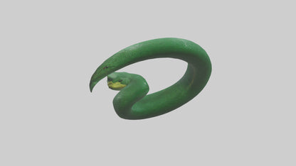 3D model Green Anaconda coiled model VR / AR / low-poly