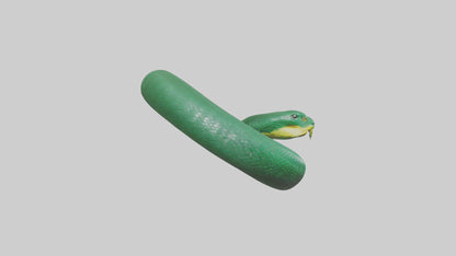 3D model Green Anaconda coiled model VR / AR / low-poly