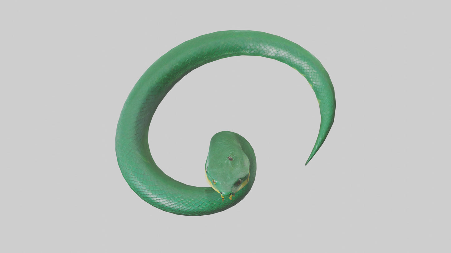 3D model Green Anaconda coiled model VR / AR / low-poly