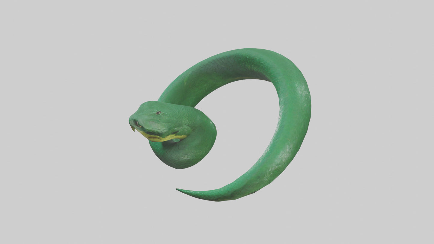 3D model Green Anaconda coiled model VR / AR / low-poly