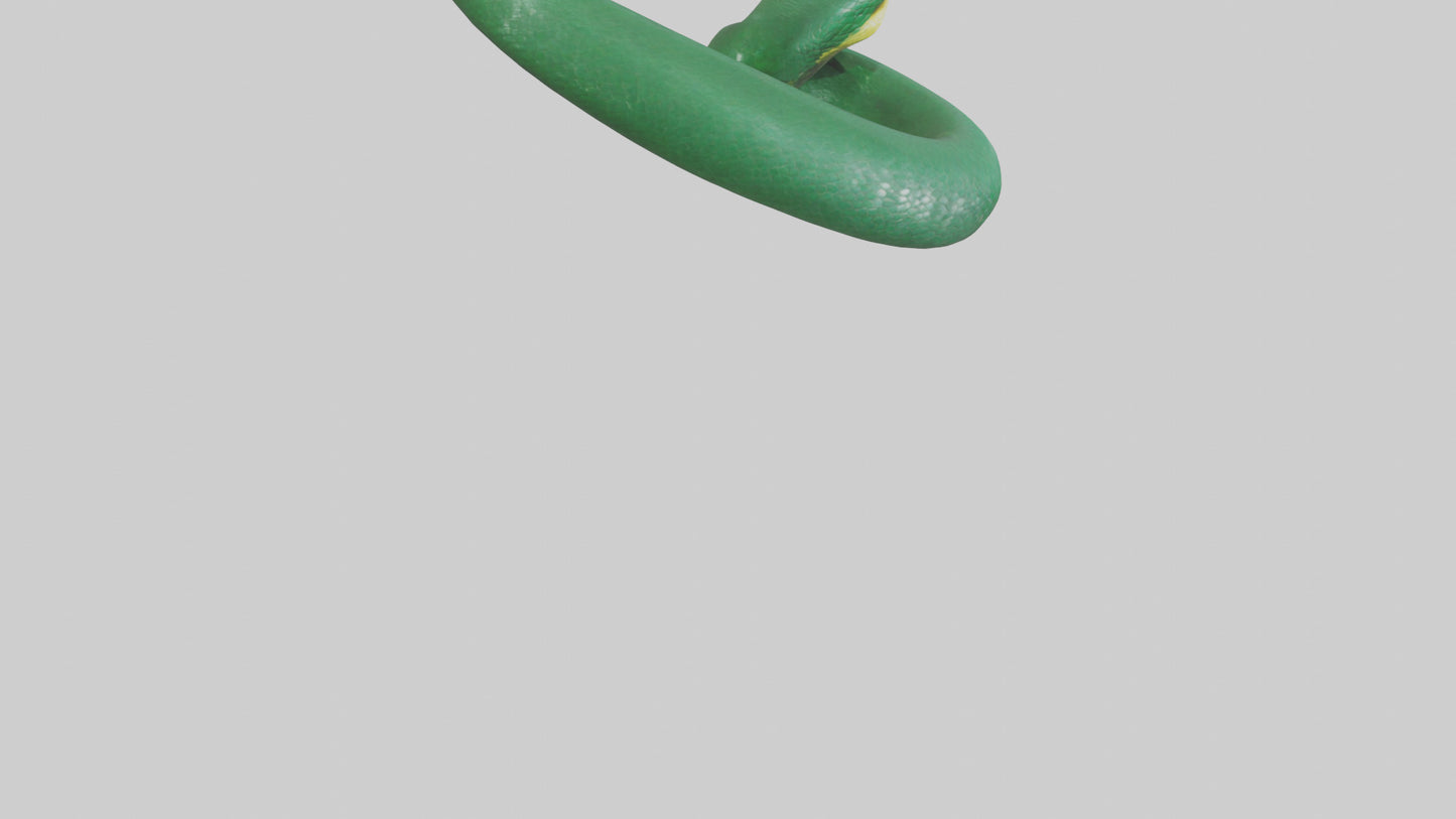 3D model Green Anaconda coiled model VR / AR / low-poly