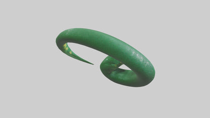 3D model Green Anaconda coiled model VR / AR / low-poly