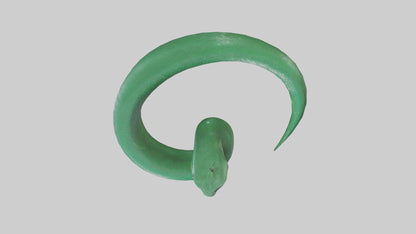 3D model Green Anaconda coiled model VR / AR / low-poly