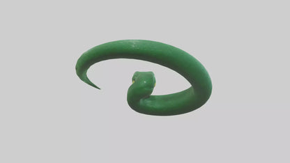 3D model Green Anaconda coiled model VR / AR / low-poly